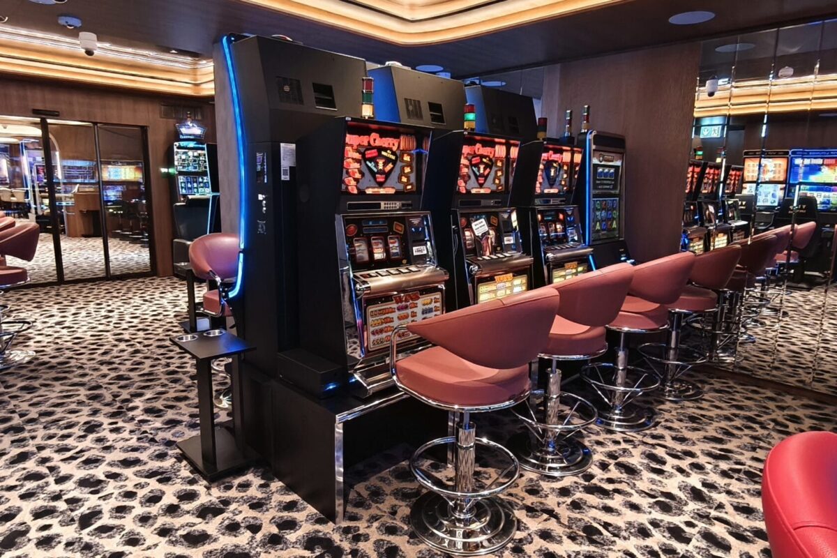 IMG_20260127_133201b